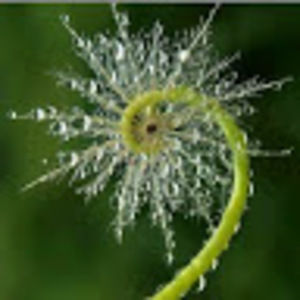 Meet your Posher, Dominique l.